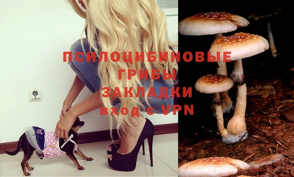 а пвп мука Богданович