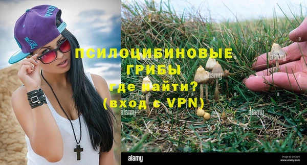 кокаин Белокуриха