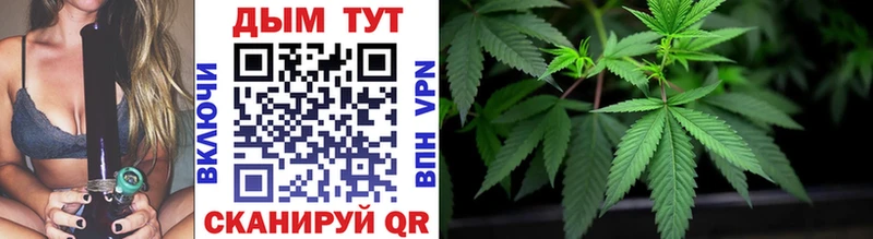 Шишки марихуана Ganja  kraken сайт  Сковородино 